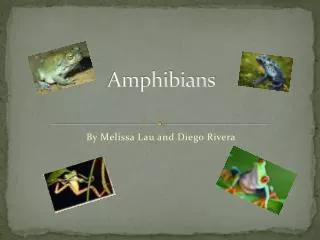 Amphibians