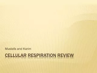 Cellular Respiration Review