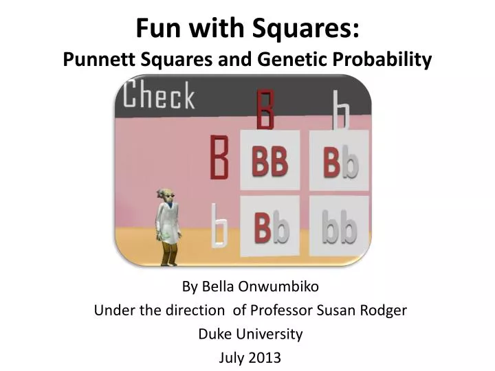 fun with squares punnett squares and genetic probability