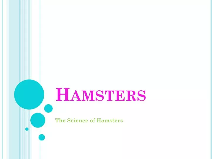 hamsters