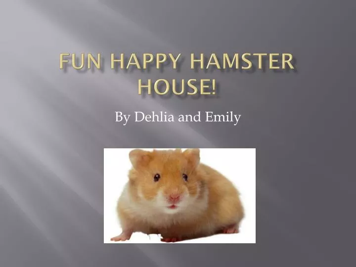 fun happy hamster house