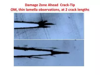 Damage Zone Ahead Crack-Tip OM, thin lamella observations, at 2 crack lengths