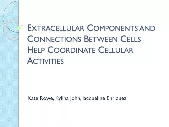 extracellular components and connections b etween c ells h elp c oordinate cellular a ctivities