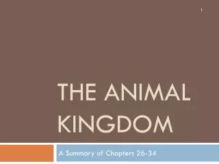 the Animal kingdom