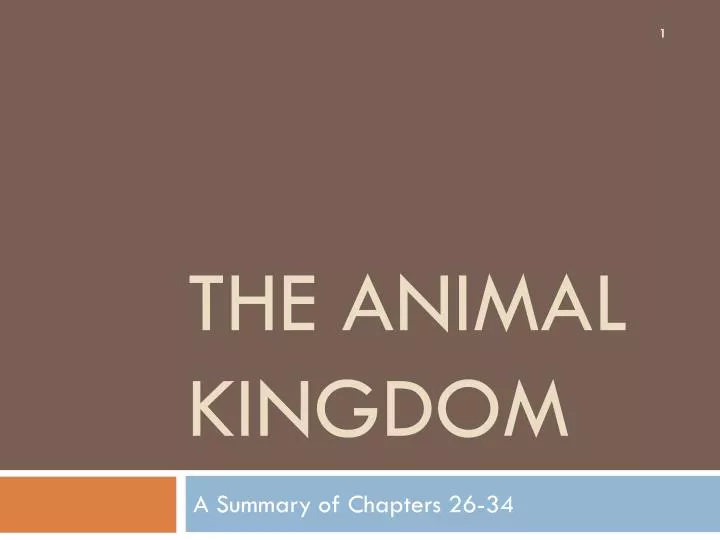 the animal kingdom