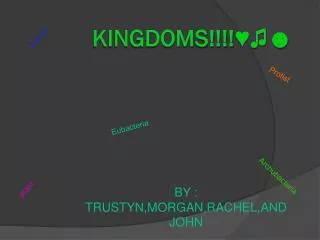 Kingdoms!!!!???