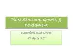 Plant Structure, Growth, &amp; Development - slide 1