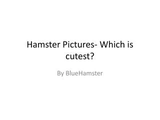 Hamster Pictures- Which is cutest?