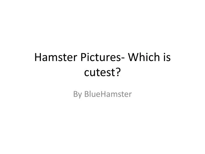 hamster pictures which is cutest