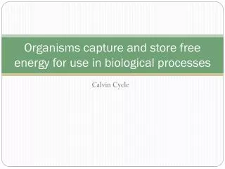 Organisms capture and store free energy for use in biological processes