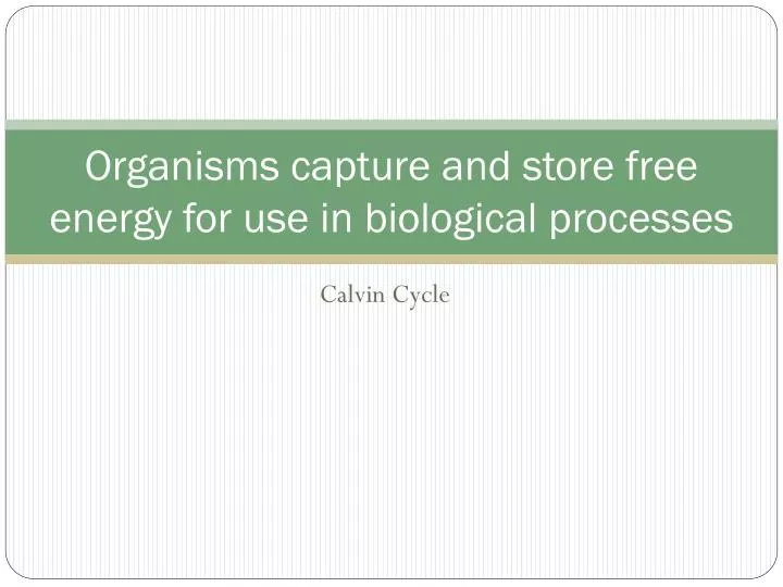 organisms capture and store free energy for use in biological processes