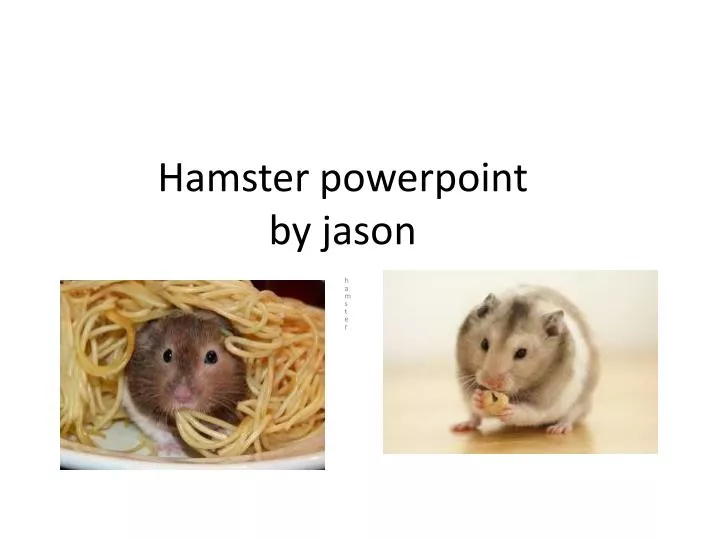 hamster powerpoint by jason