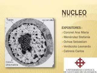 expositores coronel ana maria men ndez stefania ochoa sebastian verdezoto leonardo cabrera carlos