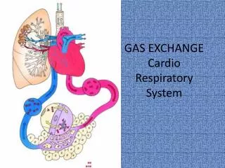 GAS EXCHANGE Cardio Respiratory System