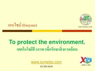 enzyme