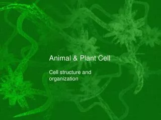 Animal &amp; Plant Cell