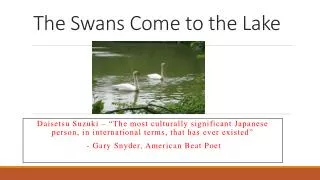 The Swans Come to the Lake