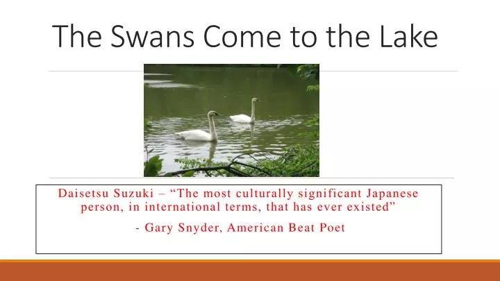 the swans come to the lake
