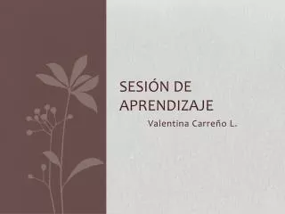 sesi n de aprendizaje
