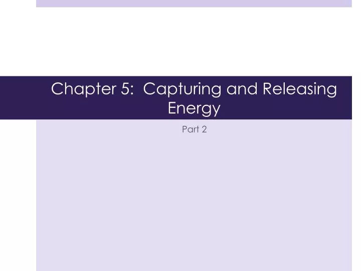 chapter 5 capturing and releasing energy