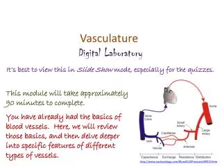 Vasculature Digital Laboratory