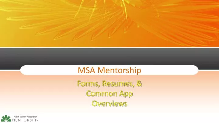 msa mentorship