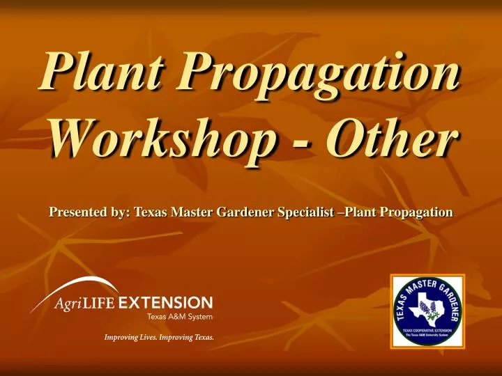 plant propagation workshop other