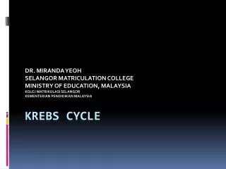 KREBS CYCLE