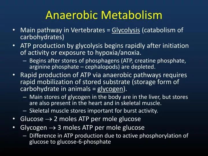 anaerobic metabolism