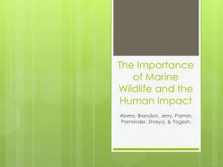 The Importance of Marine Wildlife and the Human I mpact