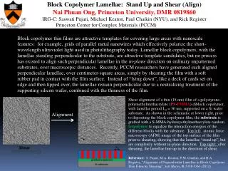 Block Copolymer Lamellae: Stand Up and Shear (Align)