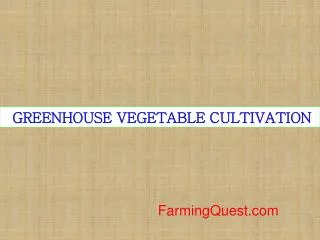 GREENHOUSE VEGETABLE CULTIVATION