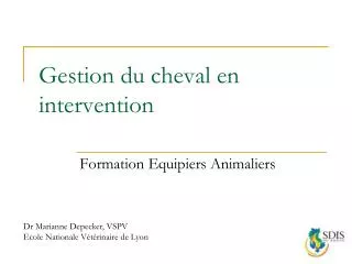 gestion du cheval en intervention