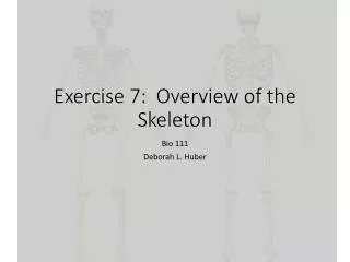 Exercise 7: Overview of the Skeleton