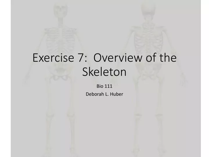 exercise 7 overview of the skeleton