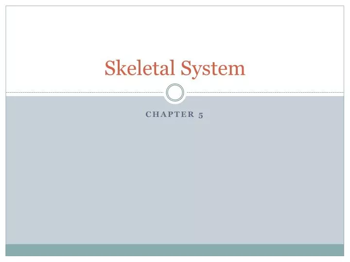 skeletal system