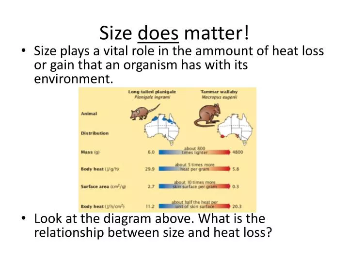 size does matter