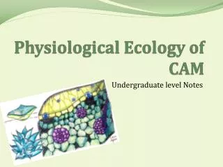 Physiological Ecology of CAM