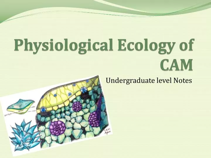 physiological ecology of cam