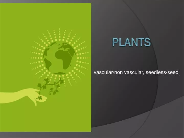vascular non vascular seedless seed