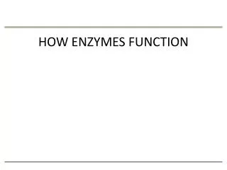 HOW ENZYMES FUNCTION