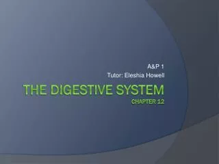 The Digestive System Chapter 12
