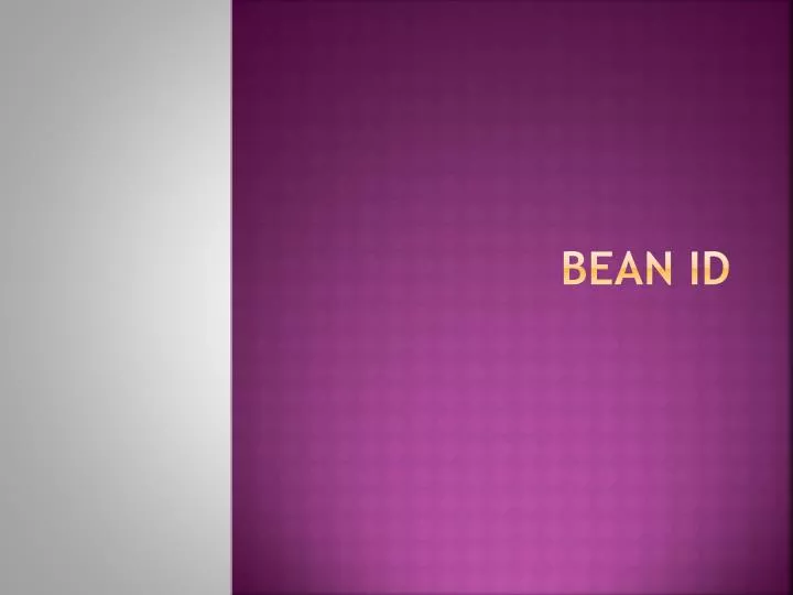 bean id