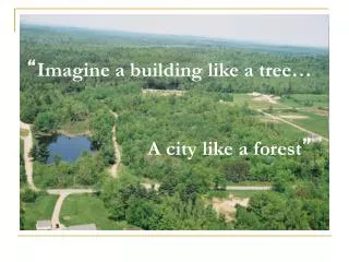 “ Imagine a building like a tree… 	 A city like a forest ”