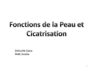 fonctions de la peau et cicatrisation