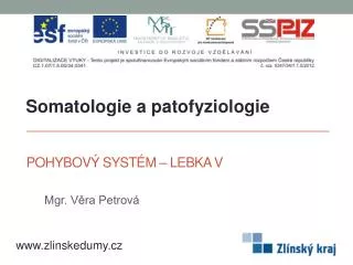 pohybov syst m lebka v