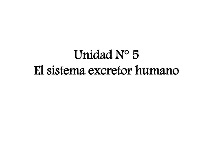 unidad n 5 el sistema excretor humano
