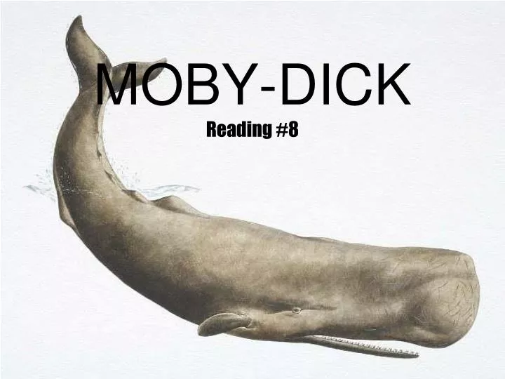 moby dick reading 8