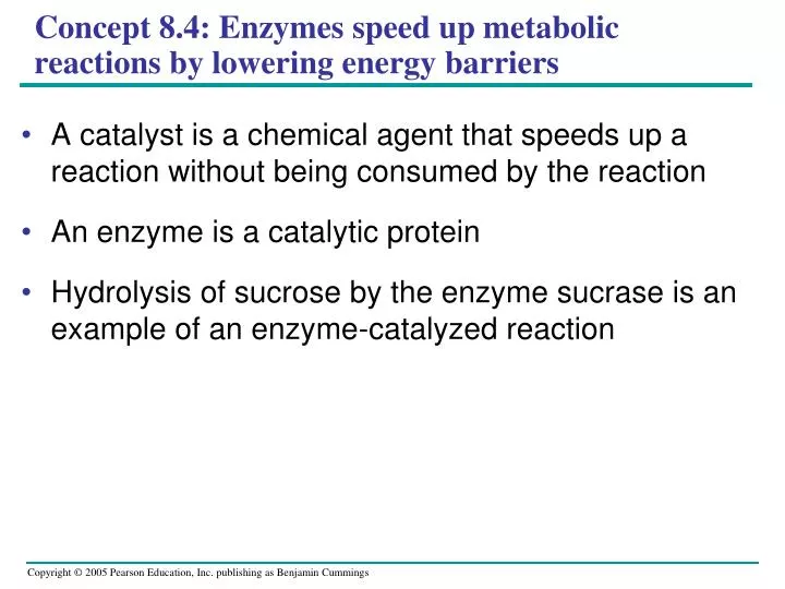 concept 8 4 enzymes speed up metabolic reactions by lowering energy barriers