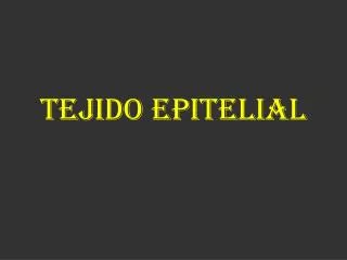 tejido epitelial